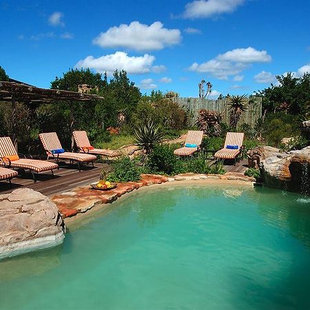 Kariega Game Reserve Bushman's River Mouth ภายนอก รูปภาพ