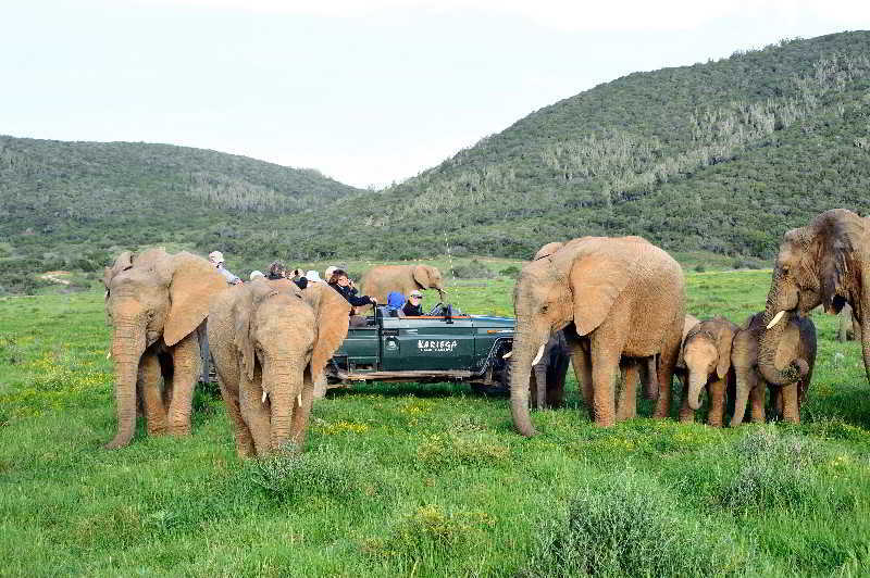 Kariega Game Reserve Bushman's River Mouth ภายนอก รูปภาพ