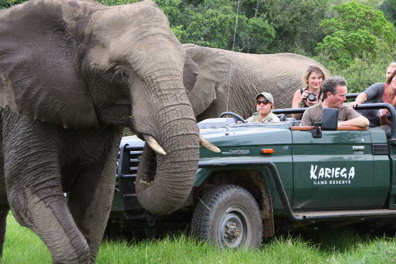 Kariega Game Reserve Bushman's River Mouth ภายนอก รูปภาพ