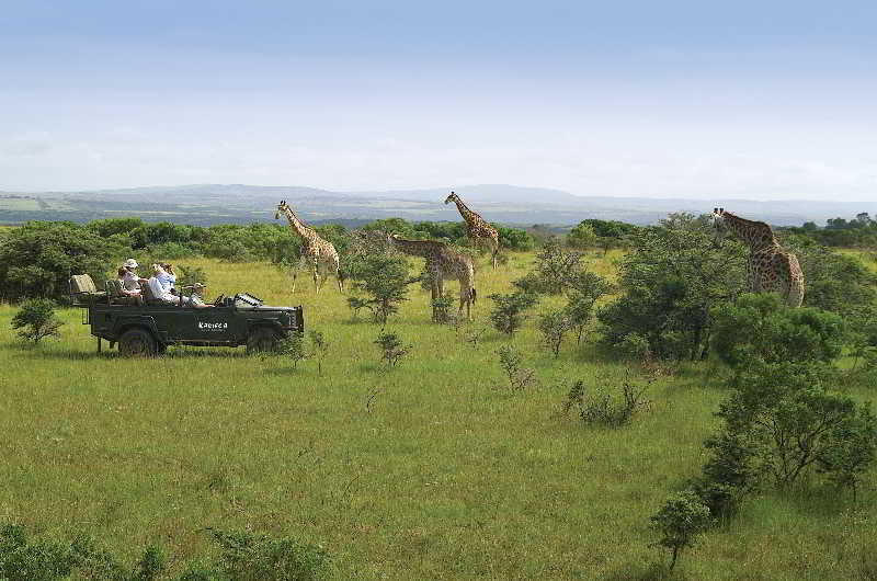 Kariega Game Reserve Bushman's River Mouth ภายนอก รูปภาพ