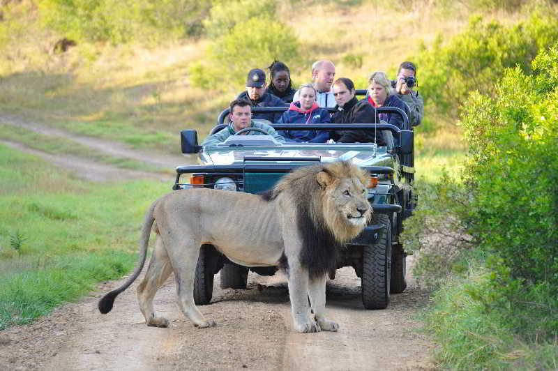 Kariega Game Reserve Bushman's River Mouth ภายนอก รูปภาพ