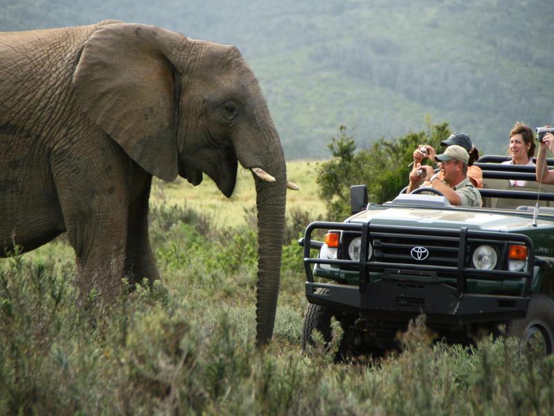 Kariega Game Reserve Bushman's River Mouth ภายนอก รูปภาพ