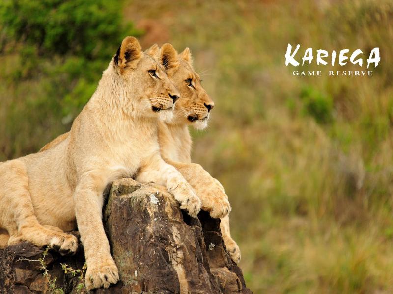 Kariega Game Reserve Bushman's River Mouth ภายนอก รูปภาพ